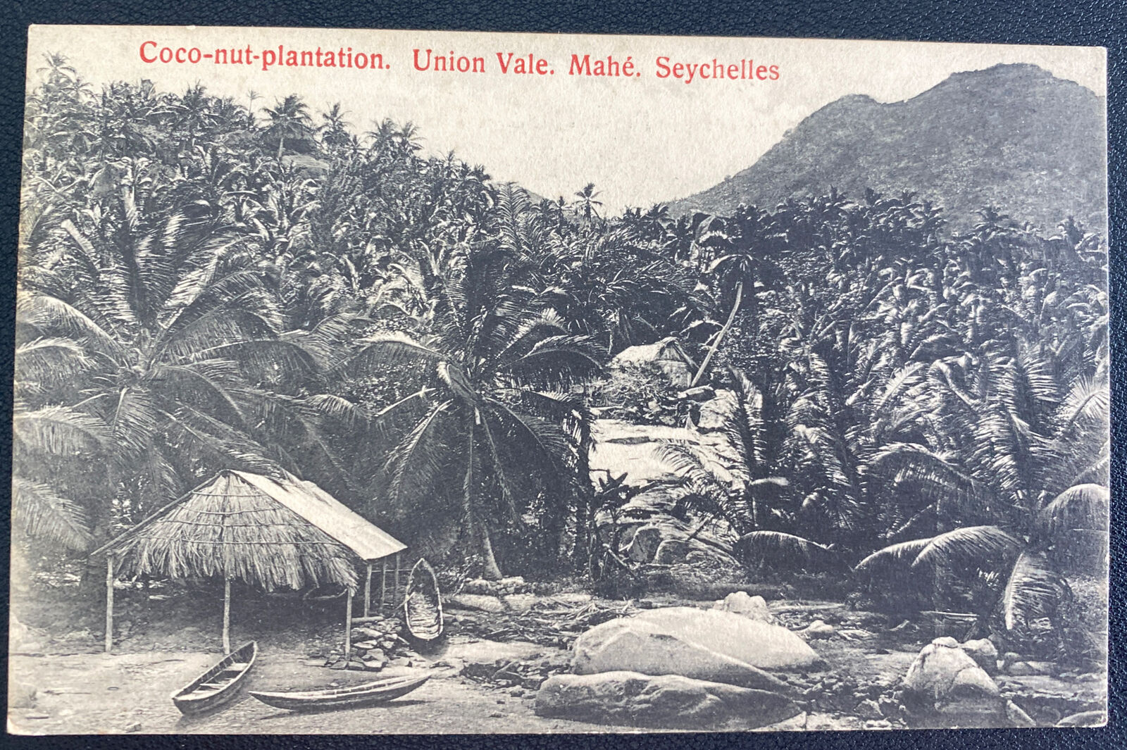 1915 Seychelles RPPC Outstanding Postcard Cover Val Union Ranking TOP5 Coconut Plantation