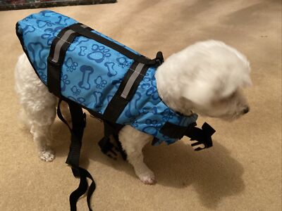 small dog spiked jacket