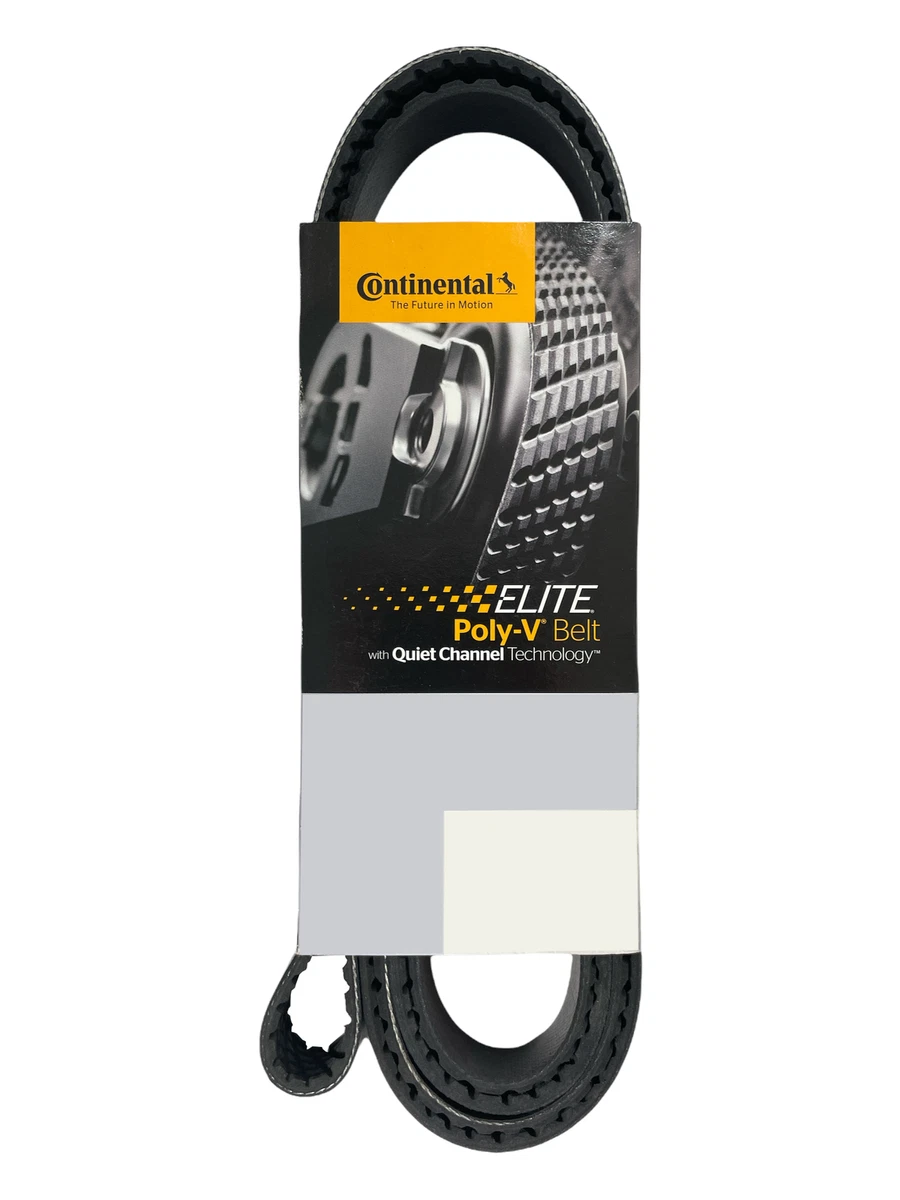 Continental Elite 4060384 Serpentine Belt 6 Rib 38.4 In | eBay