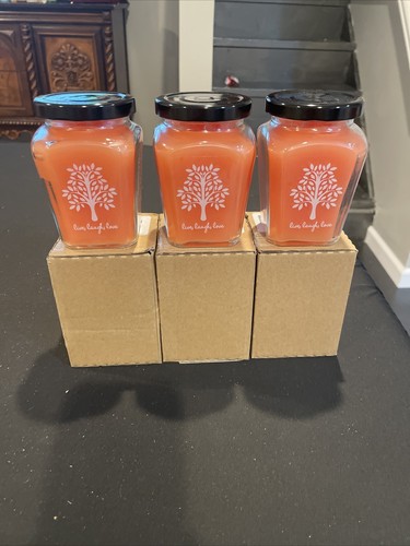 Celebrating Home Peach Orchard Candles (Set of 3) - Picture 2 of 2