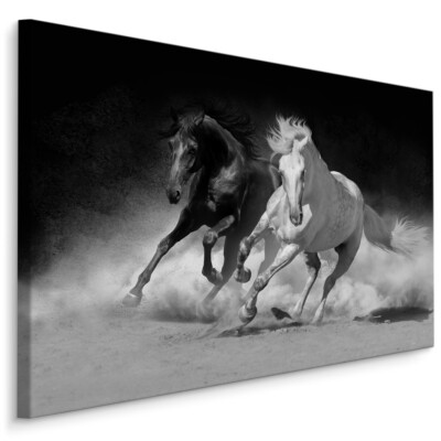 CANVAS Leinwand Bilder XXL Wandbilder Kunstdruck Tiere Pferde Wild Sand 477