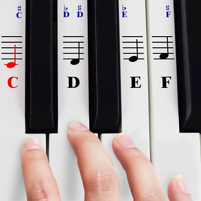 Piano Stickers for 49 / 61/ 76 / 88 Key Keyboards  