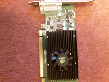 PNY NVIDIA Quadro NVS 315 Video Card