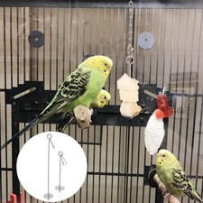 2 Pcs Fruit Fork Hook Small Parrot Holders Household Bird Skewer