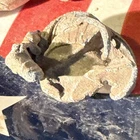 Dug Civil War 💥 🇺🇸 💣 Confederate Bormann Fuze Fired PH LA