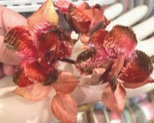 Vintage Roses 1940s Velvet Satin Triple Leaves 1 Spray Cherrie Pink Moss Japan