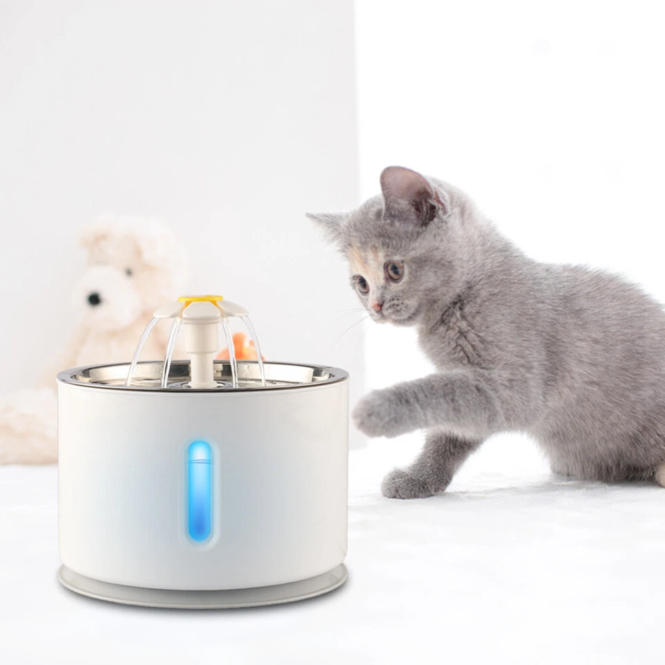 Fuente de agua eléctrica para mascotas tazón automático para beber perro gato dispensador o filtro de agua Foto 3 de 4