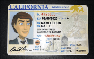 fake id card fun scannable fake id card novelty for many uses