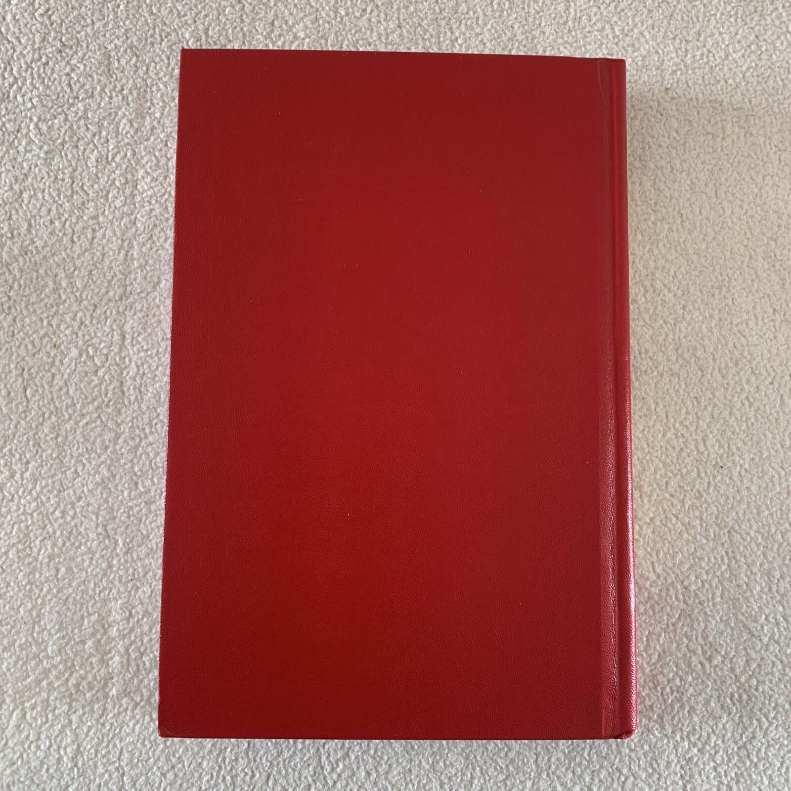 Bild 15