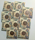 1900 - 1907   1 cent Indian Head Penny - 1 coin