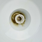 Bild 7 von 7