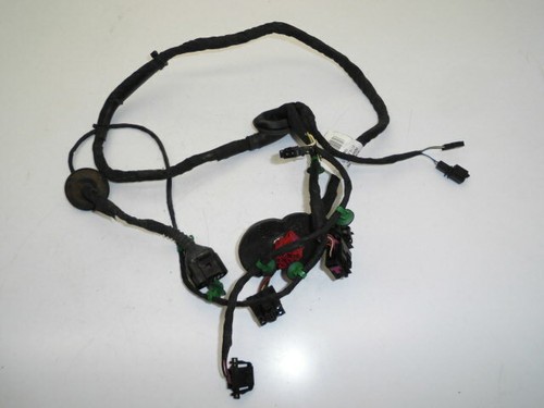 VW Phaeton 3D Türkabelbaum Tür Kabelbaum Kabelsatz VR Vorne Rechts 3D1971121