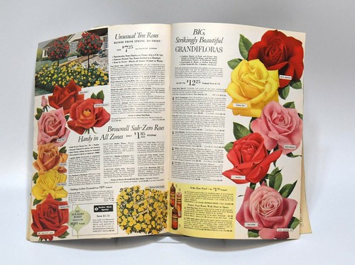 1963 MONTGOMERY WARD CATALOGO GIARDINO GIARDINAGGIO E CATALOGO SEMI - Foto 4 di 7