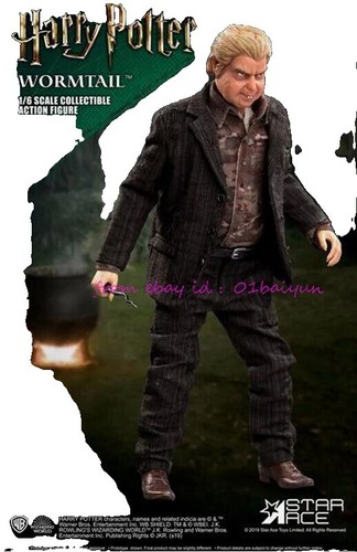 Star Ace Toys 1/6 Harry Potter Peter Pettigrew DX.Ver SA0073 | eBay