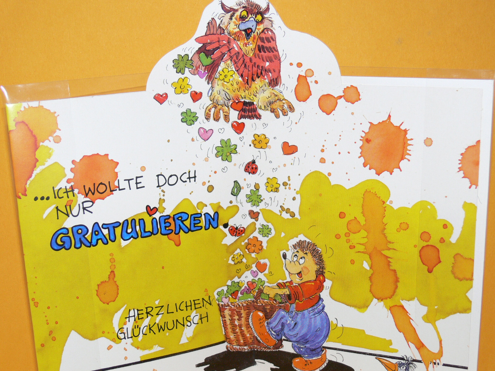 Bild 2 von 2