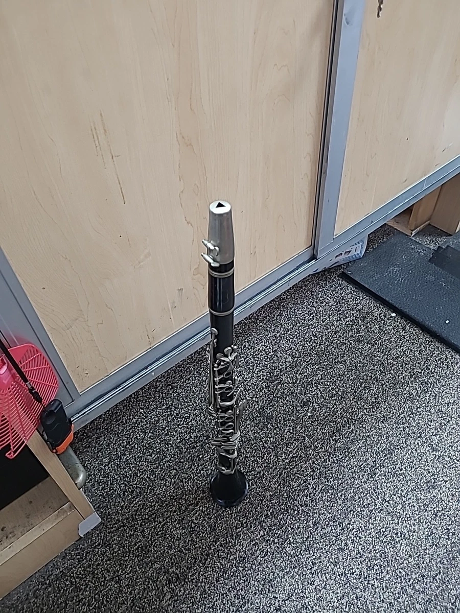 Wurlitzer Band & Orchestral Woodwind Instruments for sale | eBay