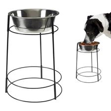 Hi Rise Single Diner Elevated Dog Feeder, 2qt Stainless Steel Bowl, Durable W...