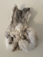 Vintage Preserved RABBIT HEAD Taxidermy 