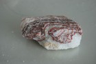 Picture 4 of 4