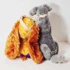 Bild 6 von 9