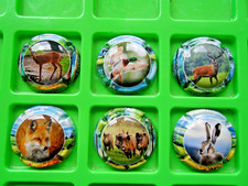 6 capsules de champagne génériques ,chasse 2025  n°1491 à 1491e,type 2,new d'oct