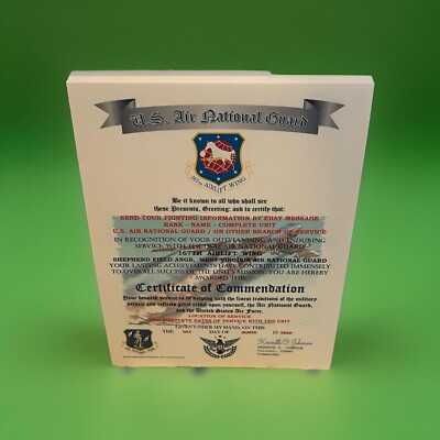 AIR NATIONAL GUARD - W VIRGINIA / 167TH AIRLIFT WING~CERTIFICATE OF COMMENDATION