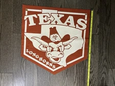 Texas University Longhorns Pennant Collegiate Pacific Wool 18” X 16” College