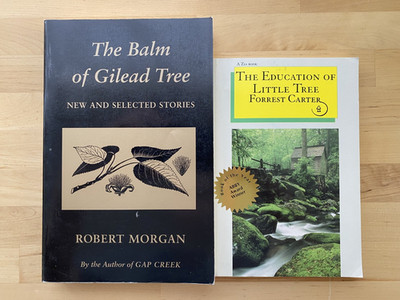 Historical Fiction Lot 2 PB Books The Balm of Gilead Tree, Education Little Tree
