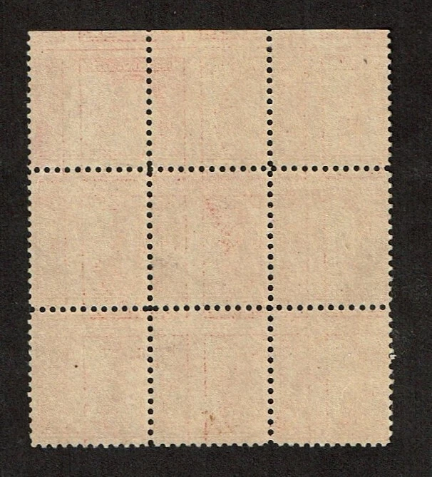 1917-19 U.S. Regular ERROR BLOCK OF 9 MIDDLE Stamp #505 Surrounded M/NH/OG Note - Image 3 of 3