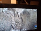 2025 Dime DoD — photo 5