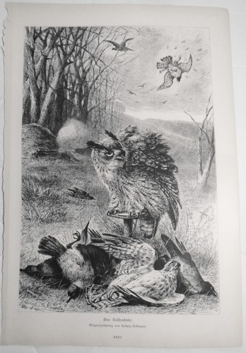 Ein Krahenhutte, by Ludwig Beckmann --  1886