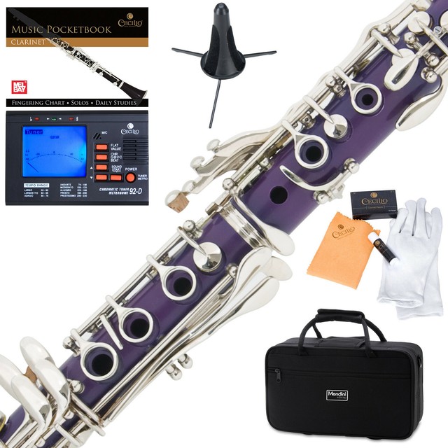 Mendini Mctp Purple ABS B Flat With Tuner Case Stand