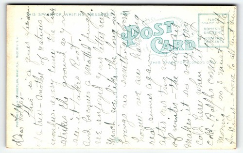 Florida Banyan Tree Divided Back Postcard FL UNP - Picture 2 of 2