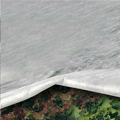 Telo Termico Antigelo In TNT 2.4x10 M - Grammatura 17 G/m², Traspirante, Per Protezione Piante In Inverno