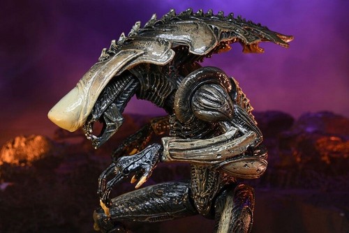 Figura de acción Alien vs Predator Chrysalis Alien 7"" escala nueva - Imagen 4 de 6