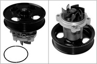 Schaeffler INA Wasserpumpe, MotorküHlung U.A. FüR Alfa Romeo, Chevrolet