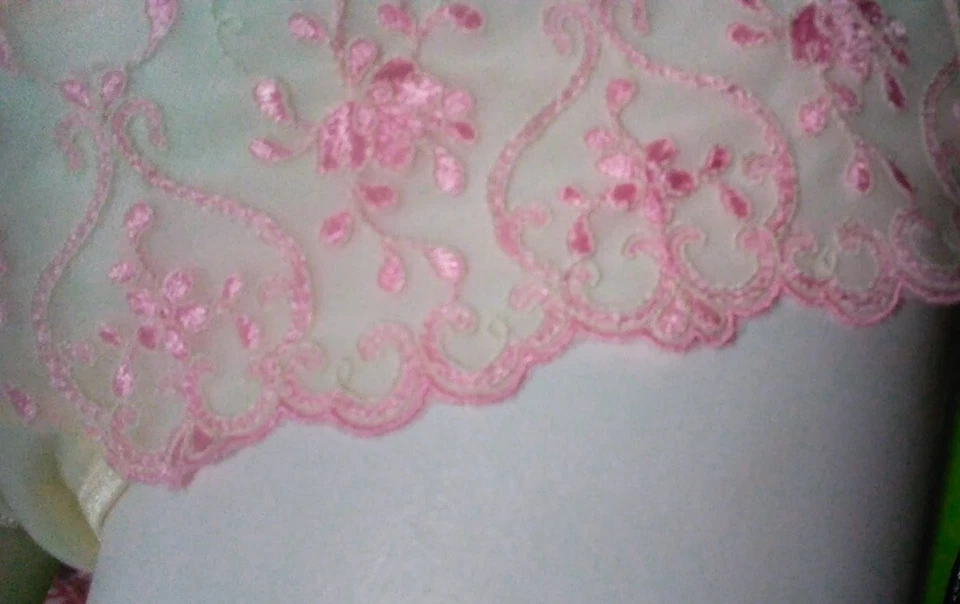 Wonderbra Cheeky Panty Woman Size XL 7635 Pink Floral Semi Sheer - NWT Vintage - Image 3 of 4