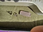 Picture 4 of 4