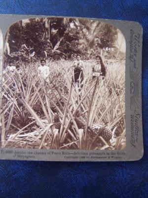 Stereo View Card - Porto Rico