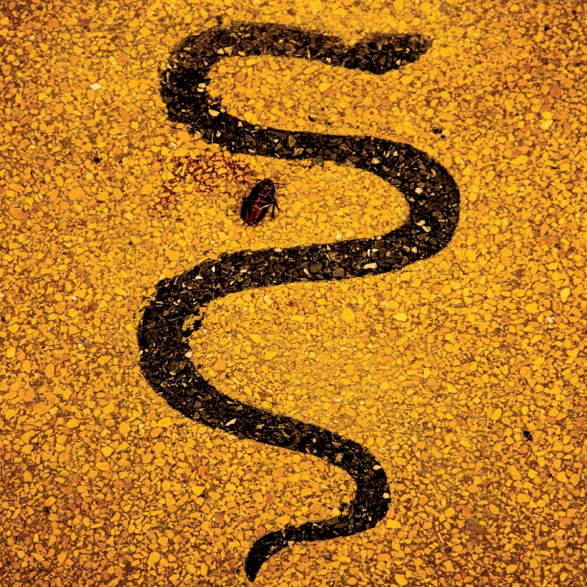 Soror Dolorosa Apollo (Vinyl LP)