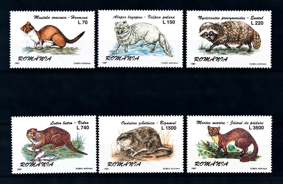 [100838] Romania 1997 Wild life fox marter stoat otter raccoon  MNH - Image 1 of 1