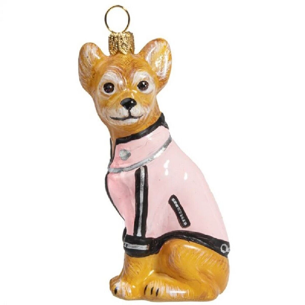 Chihuahua motorcycle gear cheap