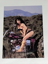 Vintage In The Wind Giant Pinup Posters Nude Biker Girls