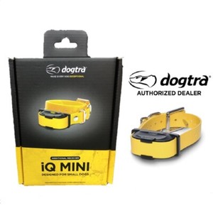 dogtra iq mini