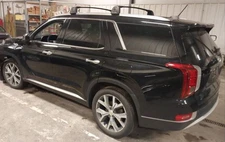 2020-2023 Hyundai Palisade LH Driver Roof Curtain Airbag Air Bag OEM