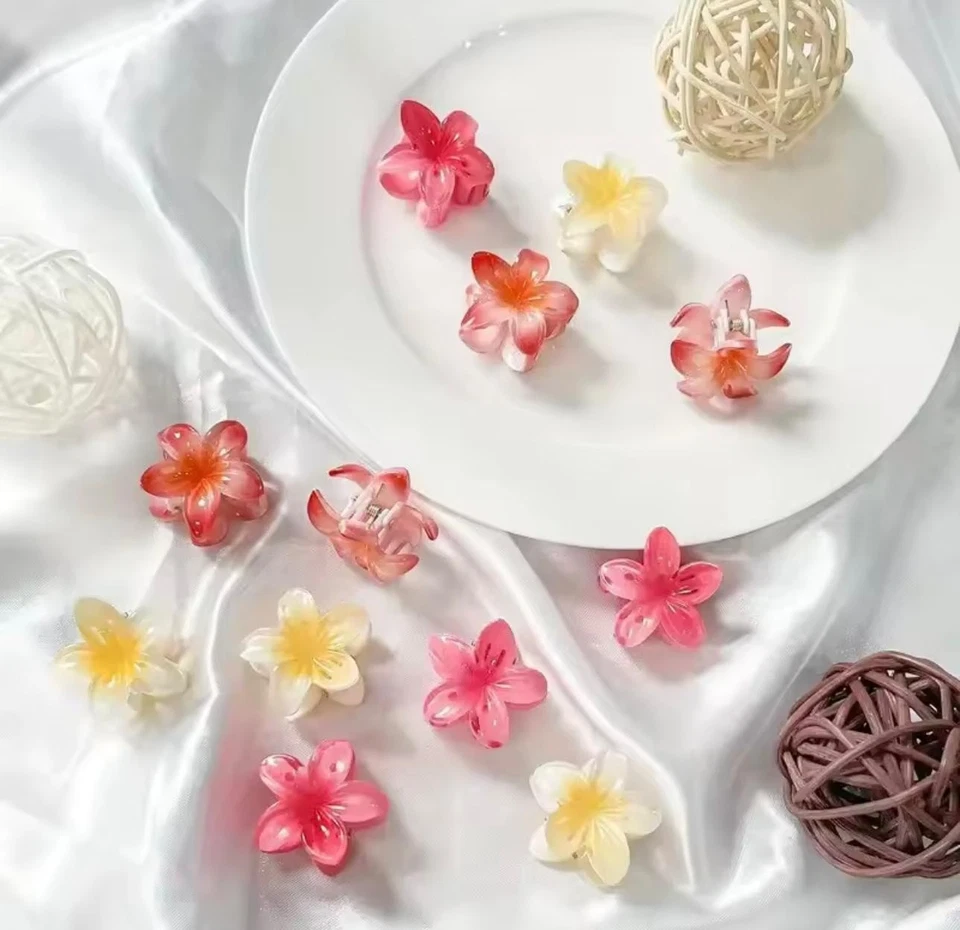 6Pcs Hawaiian Gradient Hair Clips Flower Hair Claws Women Small Size Fashion - Image 4 of 4