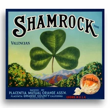 Vintage 1940’s American Fruit Crate Label Shamrock Oranges Irish FREE UK P&P