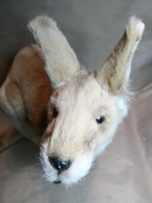Hansa - Red Kangaroo Realistic Plush - 17 Inc...