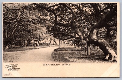 Postcard Berkeley CA University of Berkeley, Berkeley Oaks