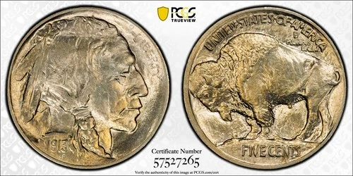 1913 Type 1 Buffalo Nickel 5C PCGS MS66 Superb Gem!!!  Gold Shield!!!